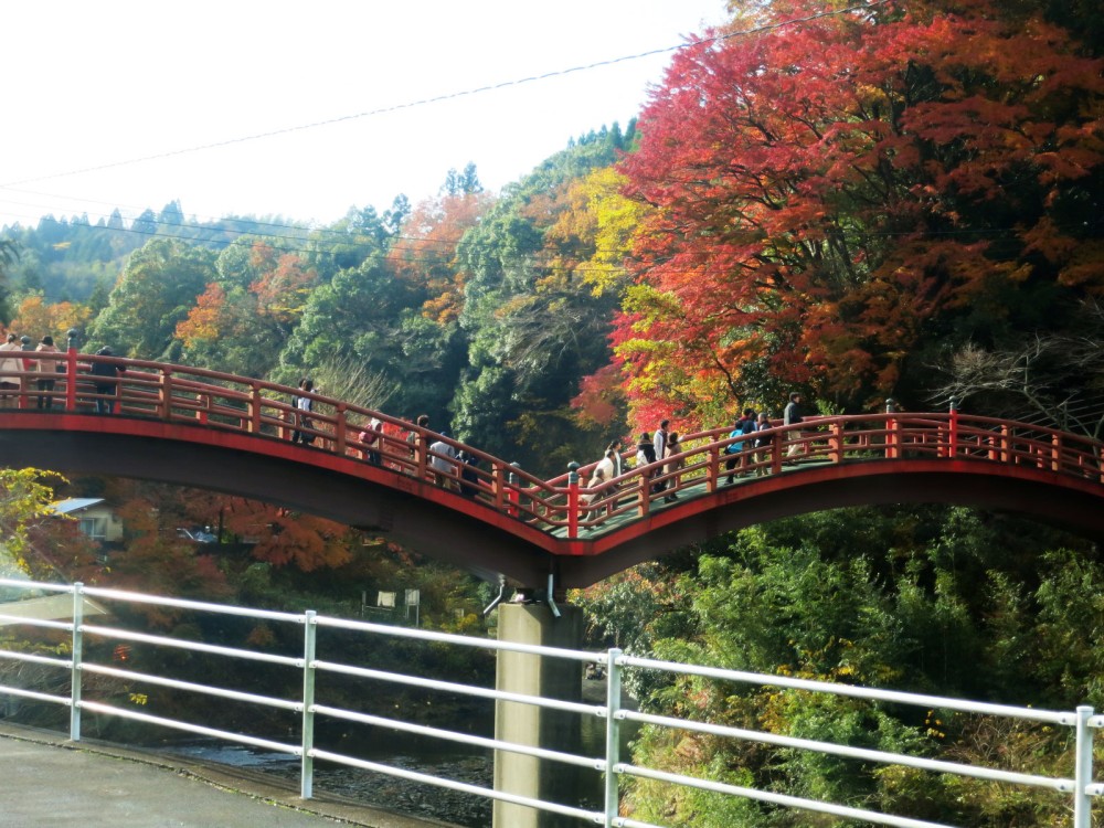 千葉県養老渓谷の紅葉