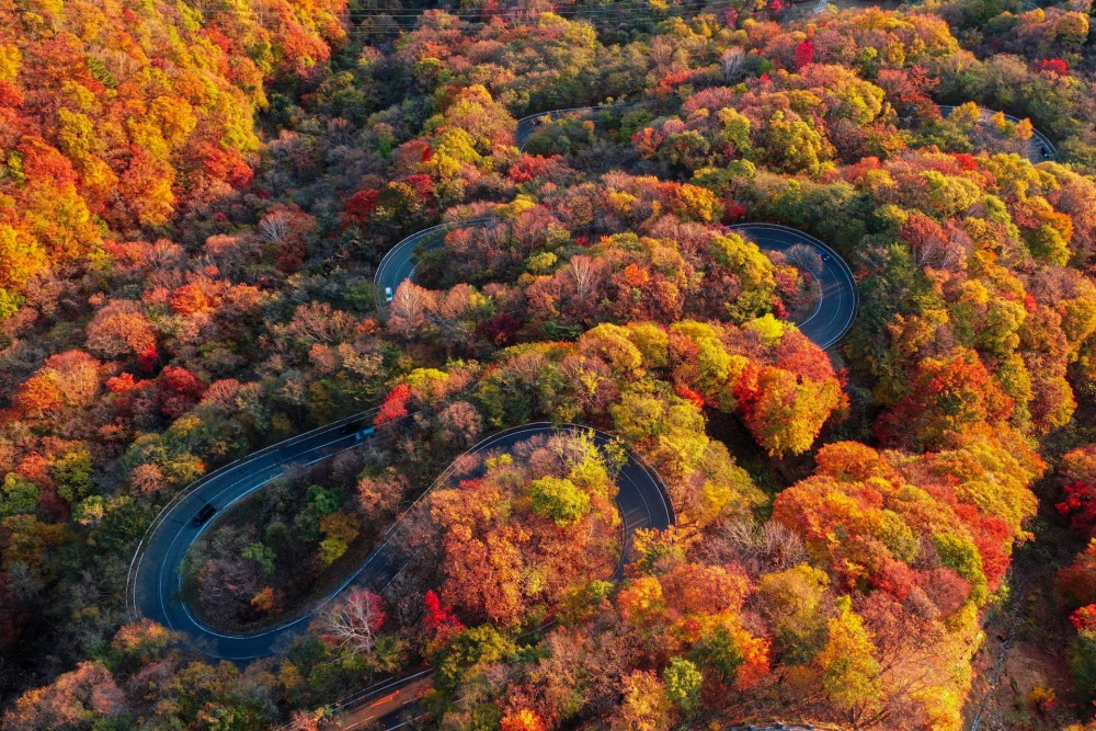 栃木県日光いろは坂の紅葉