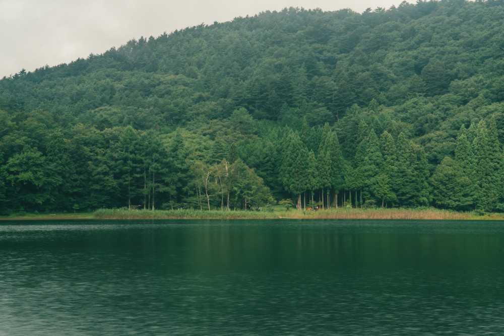 四尾連湖