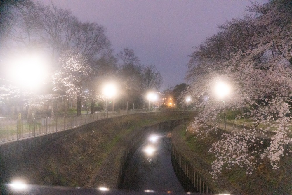 善福寺川緑地