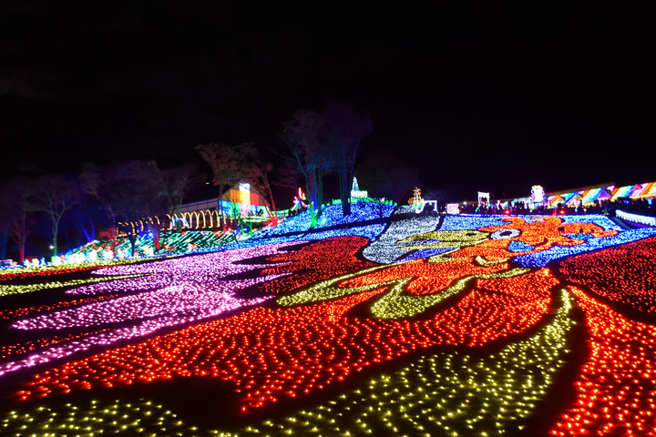 東京ドイツ村