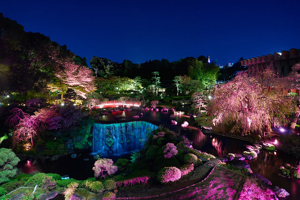 ニューオータニ夜桜