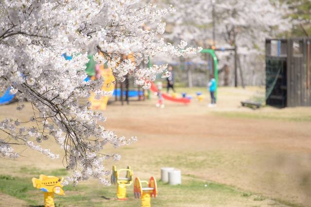 横手公園