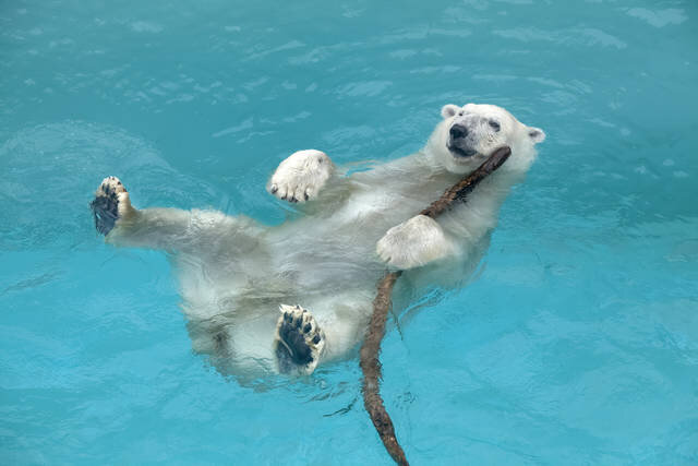 男鹿水族館GAO