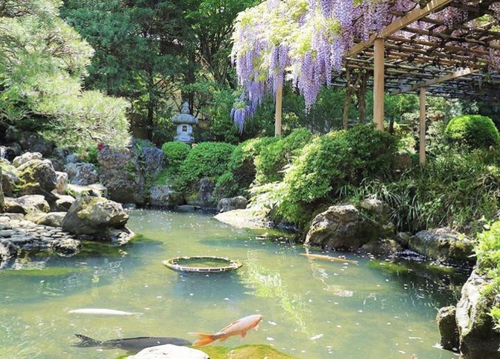 金蛇水神社