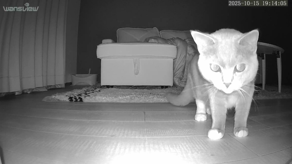 ペットカメラ自動餌やり機