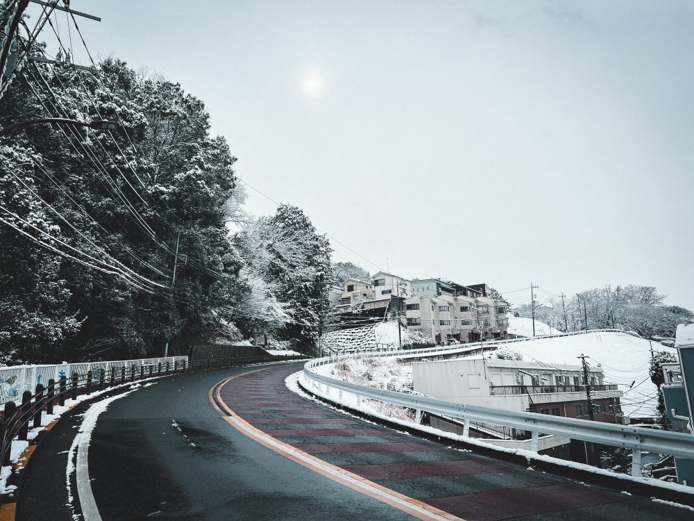 聖蹟桜ヶ丘サムネイル