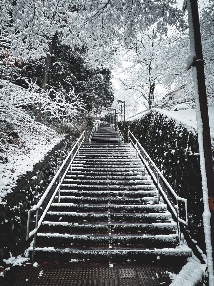 階段からの絶景