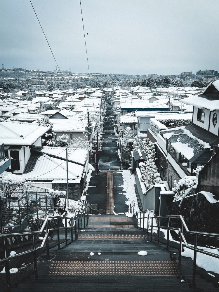 丘の上からの絶景